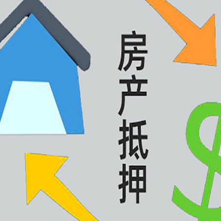 武定贷款中介公司新渝启服联系方式